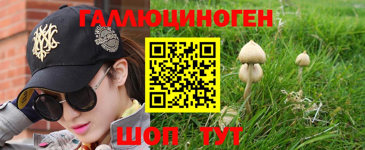 Галлюциногенные грибы прущие грибы Ростов Великий